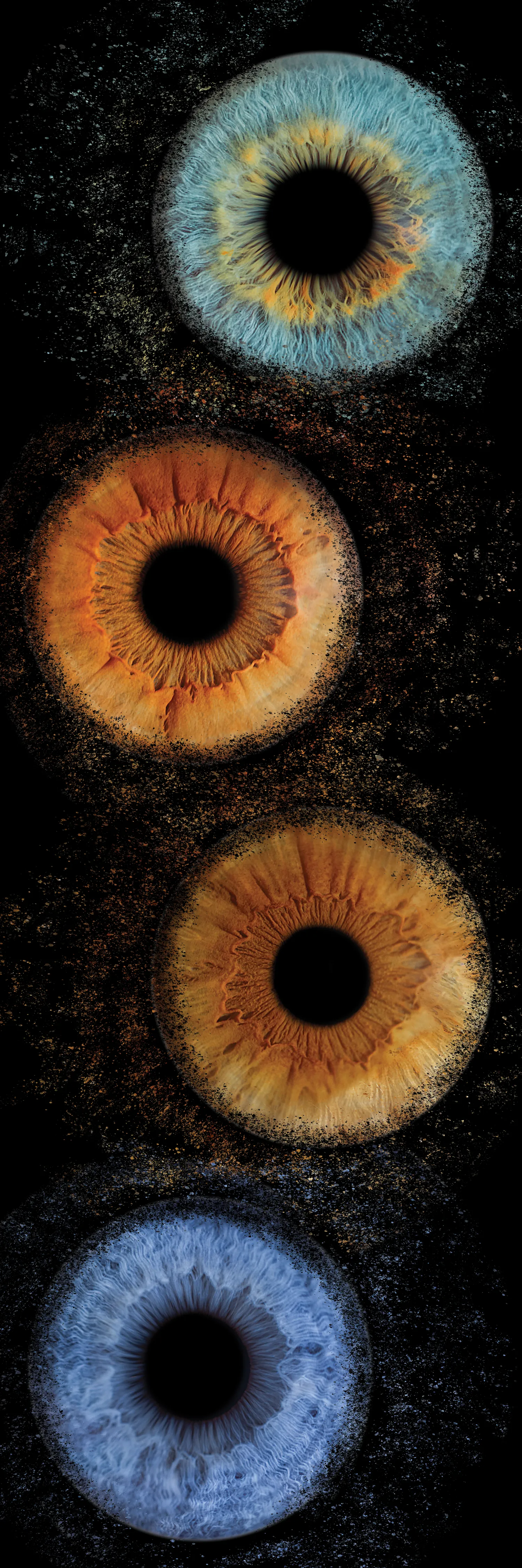 Photographie de la page 'Galerie' numéro 37