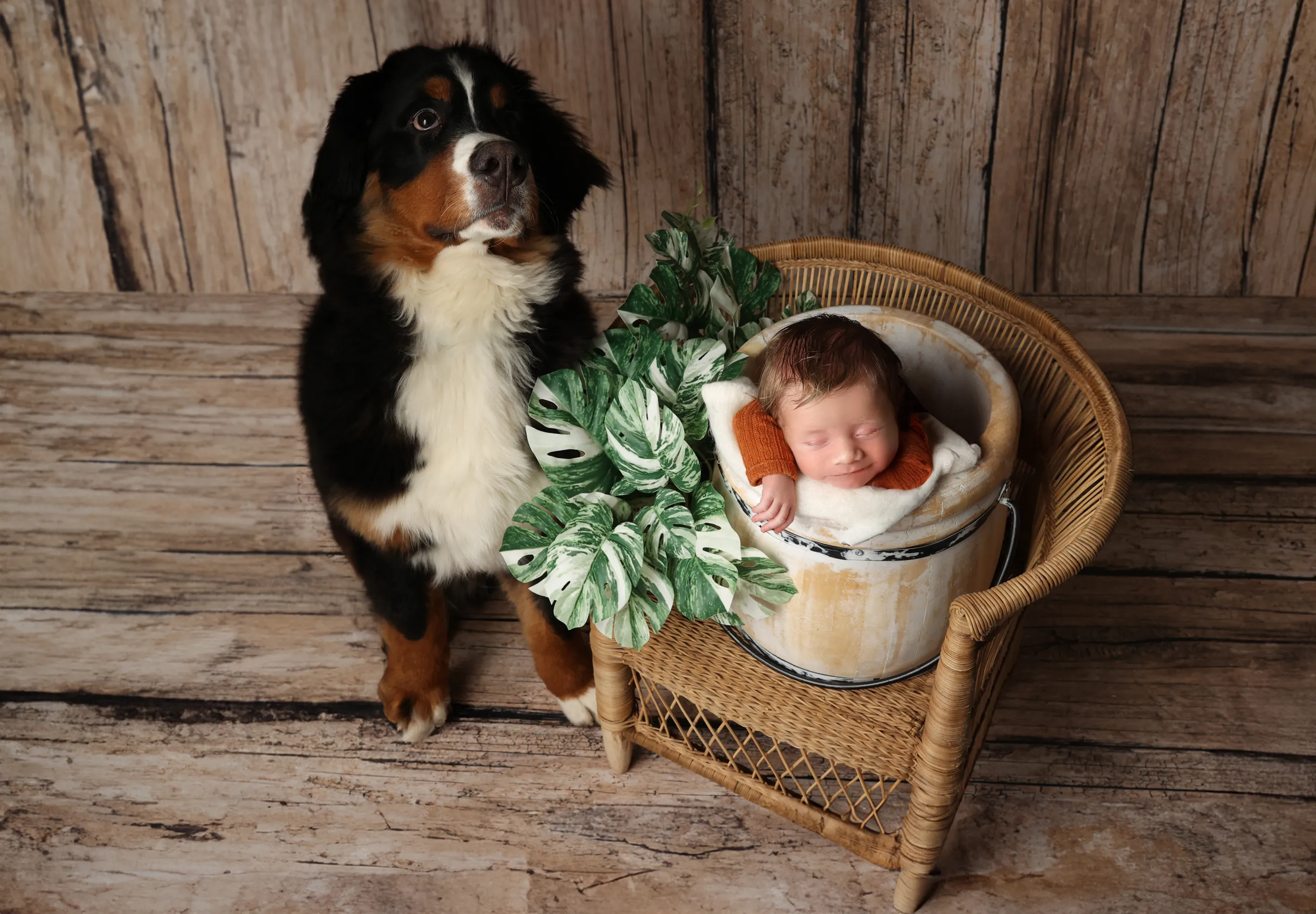 Photographie de la prestation 'Pack Naissance'
