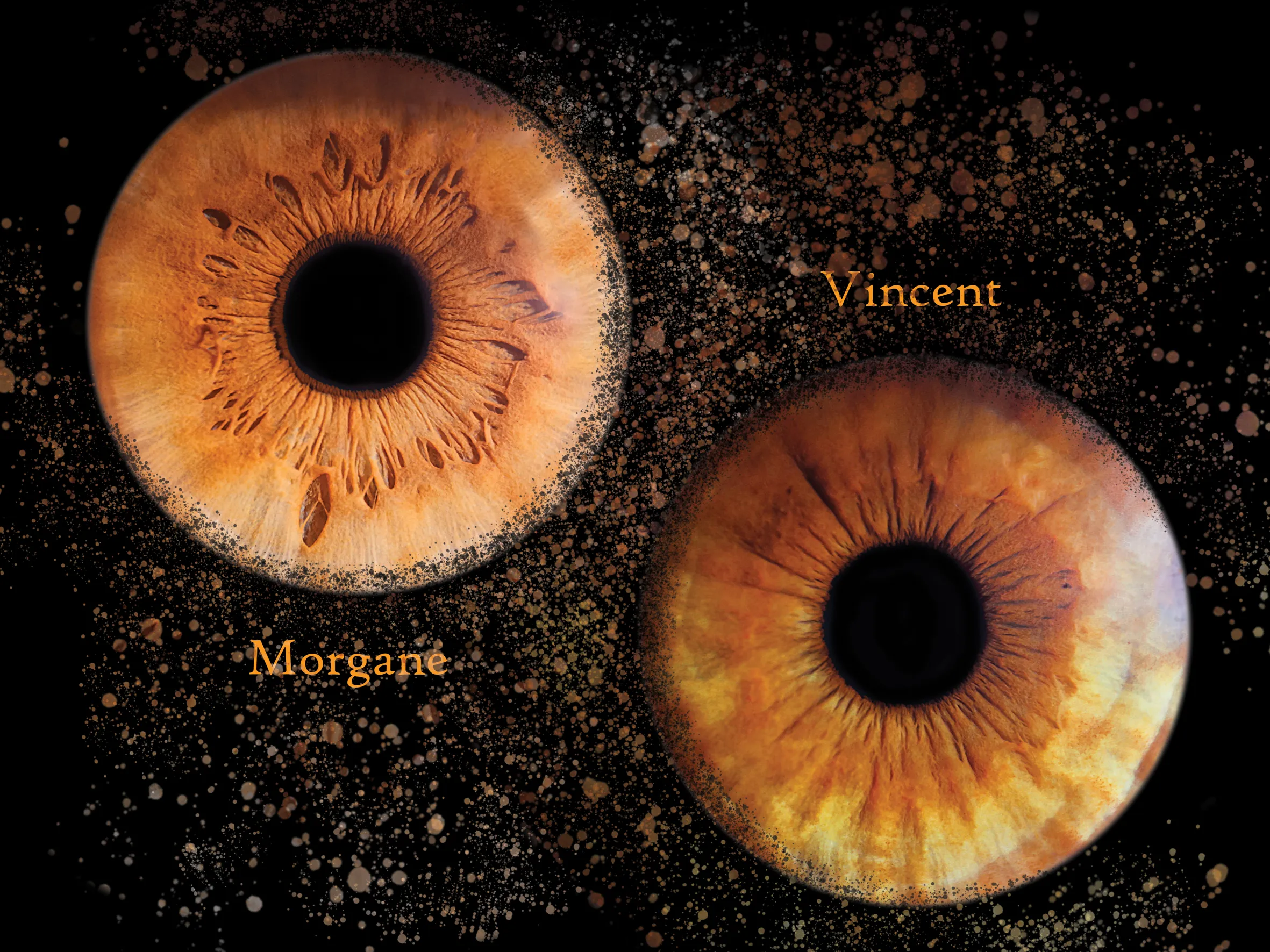 Photographie de la prestation 'Photographie d'Iris'