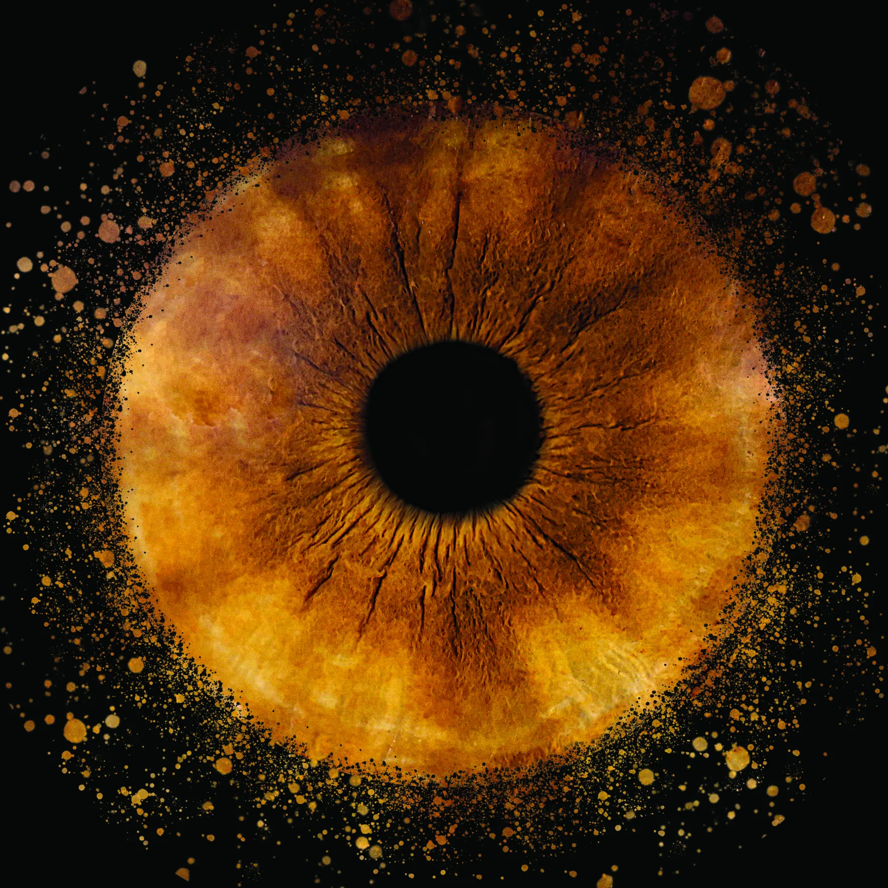 Photographie de la prestation 'Photographie d'Iris'