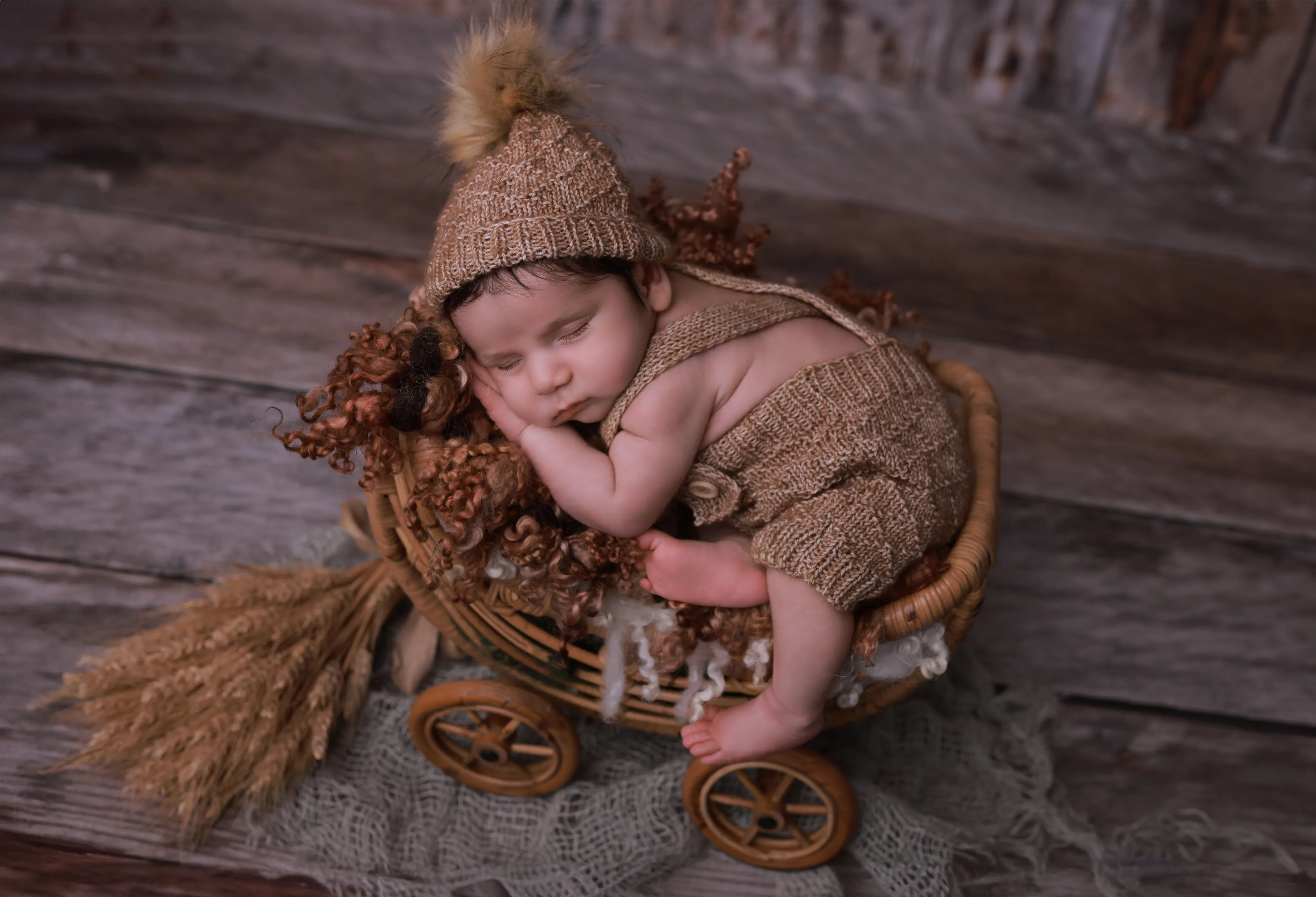 Photographie de la prestation 'Pack Naissance'