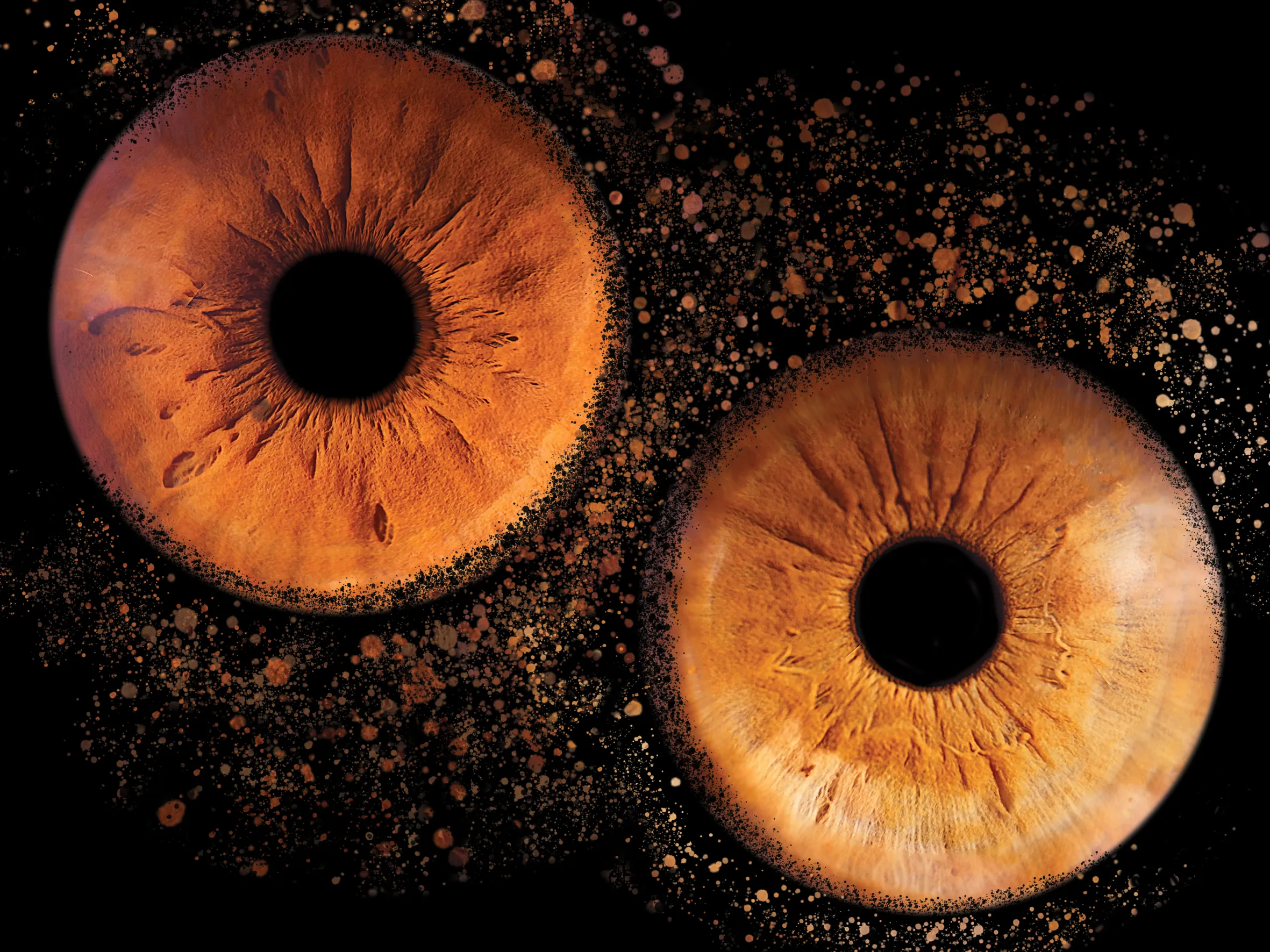 Photographie de la prestation 'Photographie d'Iris'
